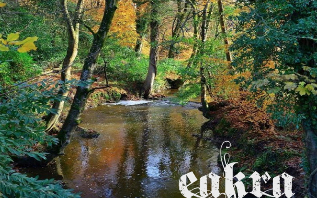 BBMA42 – Eakra – The Last Call Of The Wild MC