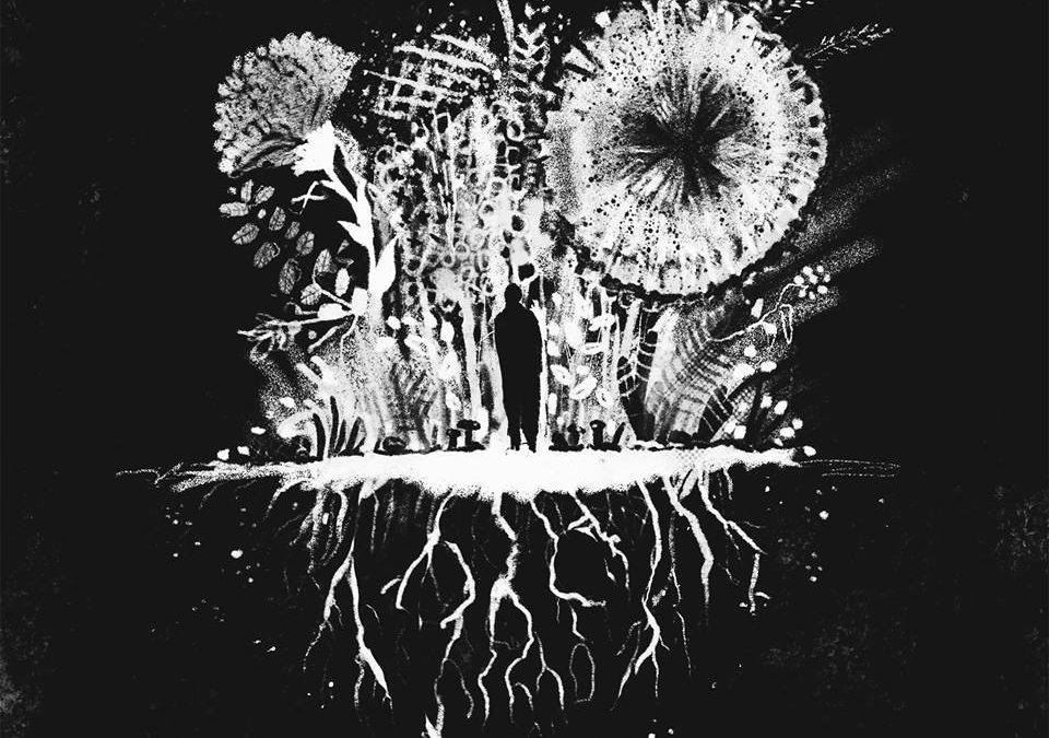 BBMA55 – No Restraint – Growth 7″