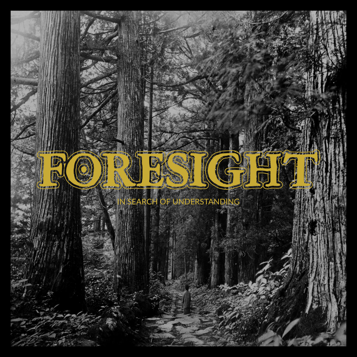 foresight-in-search-of-understanding-lp-black-pre-order