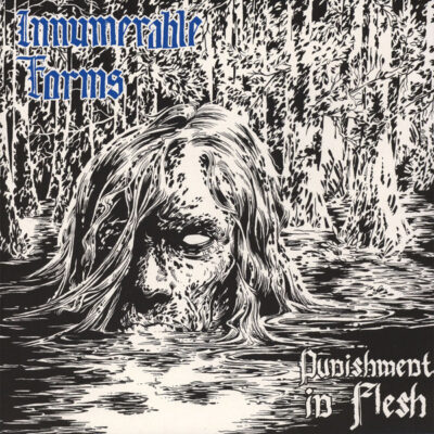 Innumerable Forms – Punishment in Flesh 12"