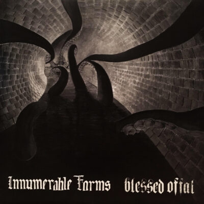 Innumerable Forms & Blessed Offal - Split 12"